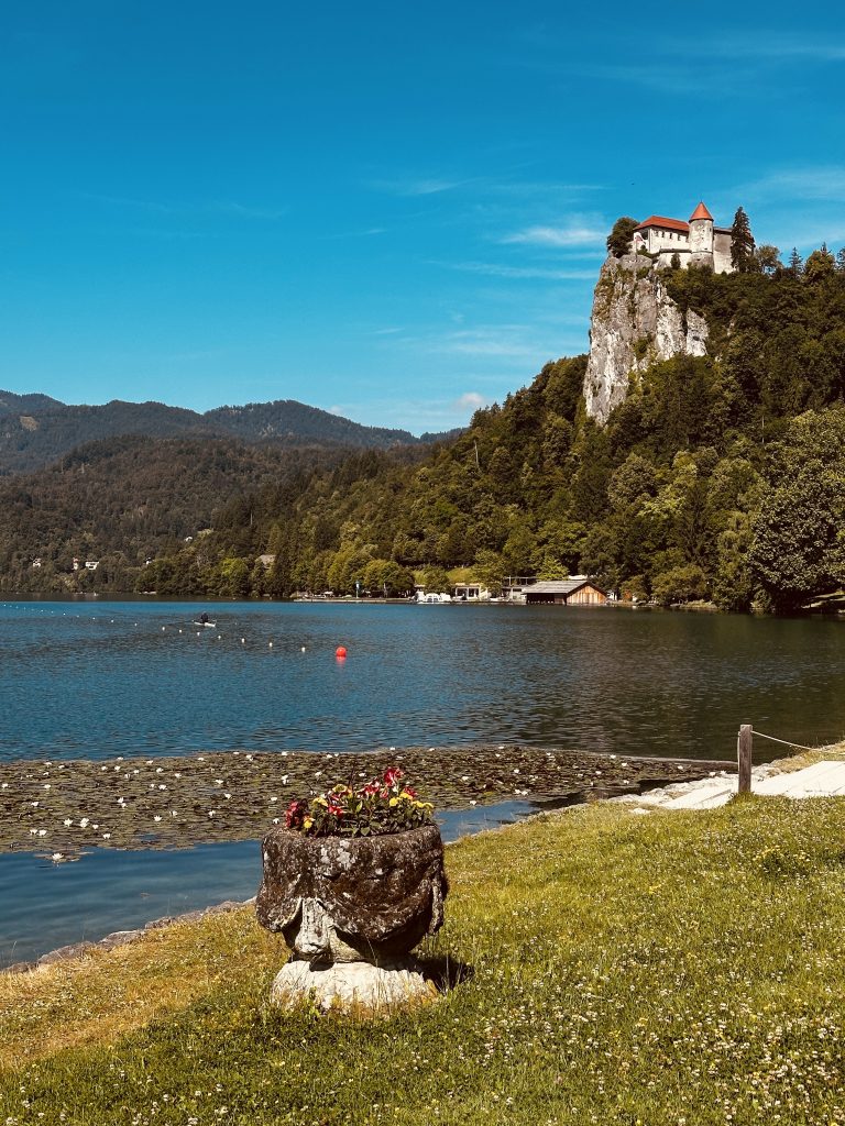 Die Bleder Burg thront auf einem Felsen über dem See, im Vordergrund Schilf