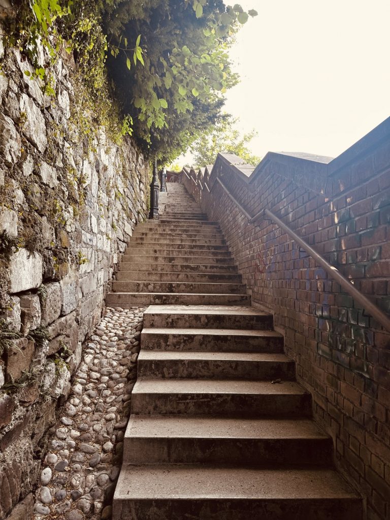 Ein steiniger Treppenweg führt von der Burg durch grünen Wald hinunter in die Altstadt.