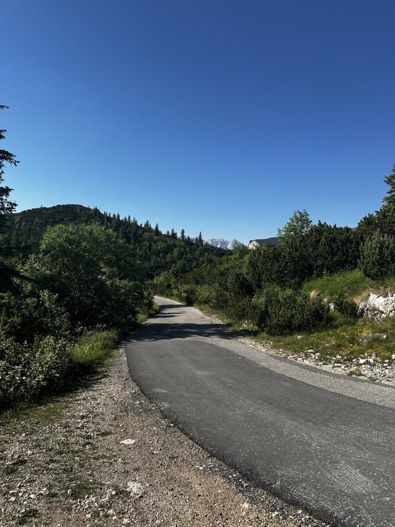 Enge geteerte Forststraße im nördlichen Teil des Durmitor-Rings