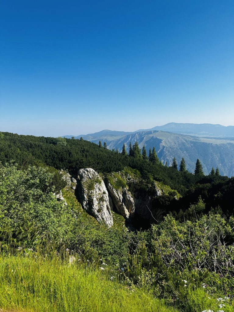 Bewaldeter Hang unterhalb des Veliki Štuoc mit Felsen und Blick auf die Durmitor-Berge