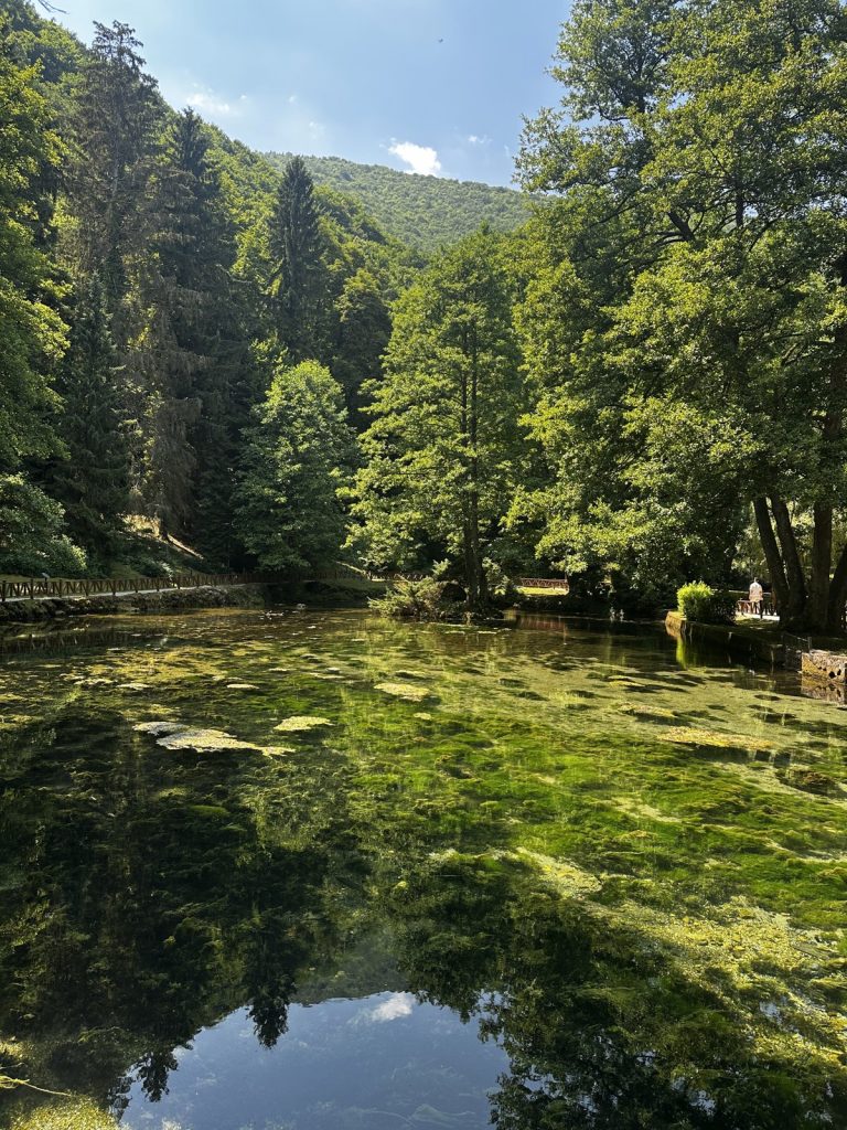 Die Quelle der Bosna im Park Vrelo Bosne bei Ilidža, dahinter bewaldete Berge.