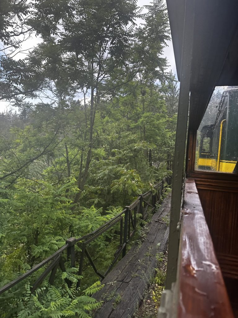 Blick aus dem hölzernen Waggon der Šargan-Acht auf Gleis und Wald