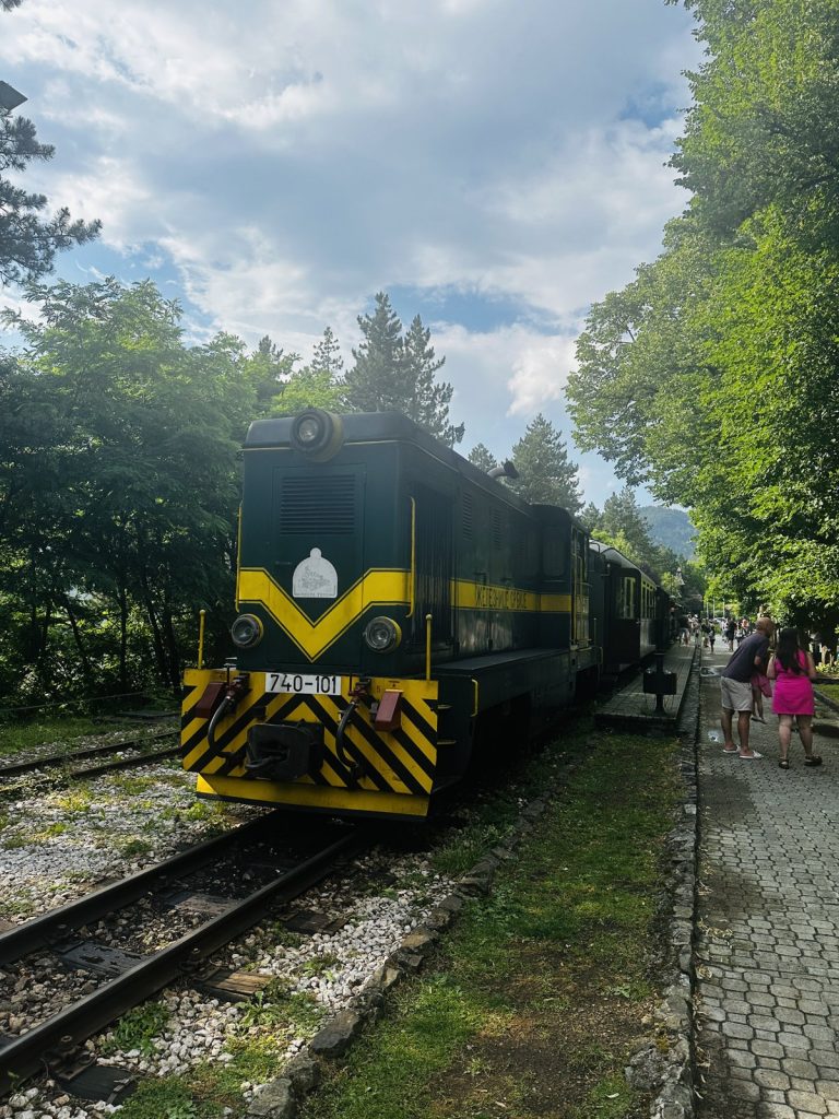 Grün-gelbe Diesellok der Šargan-Acht auf den Schmalspurgleisen