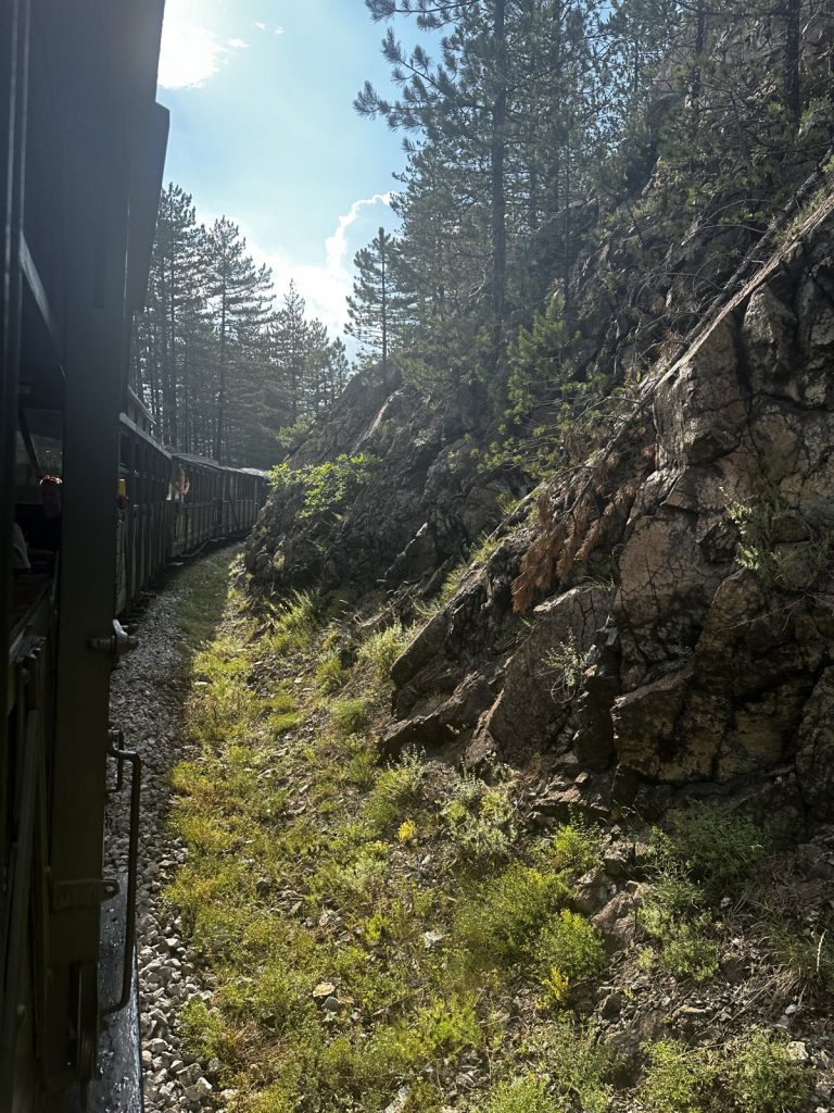 Bewaldete Berglandschaft Westserbiens aus dem fahrenden Zug der Šargan-Acht