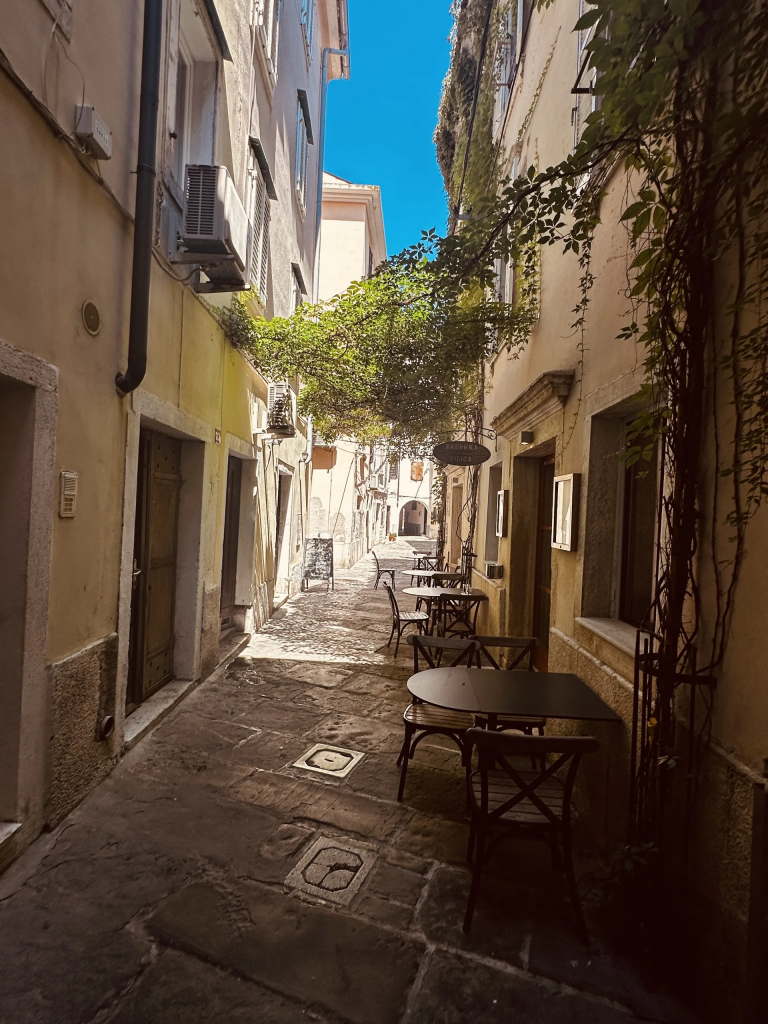 Enge, weinüberwachsene Altstadtgasse mit Café-Tisch in Piran