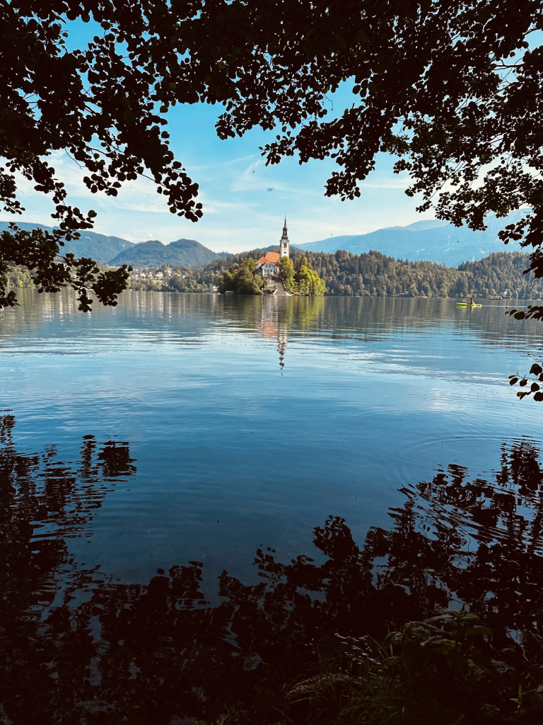 Die Bleder Insel mit ihrer Kirche spiegelt sich im ruhigen See, von Zweigen gerahmt