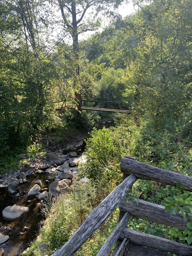 Kleiner Bach mit hölzerner Brücke auf dem Weg zur Đavolja Varoš