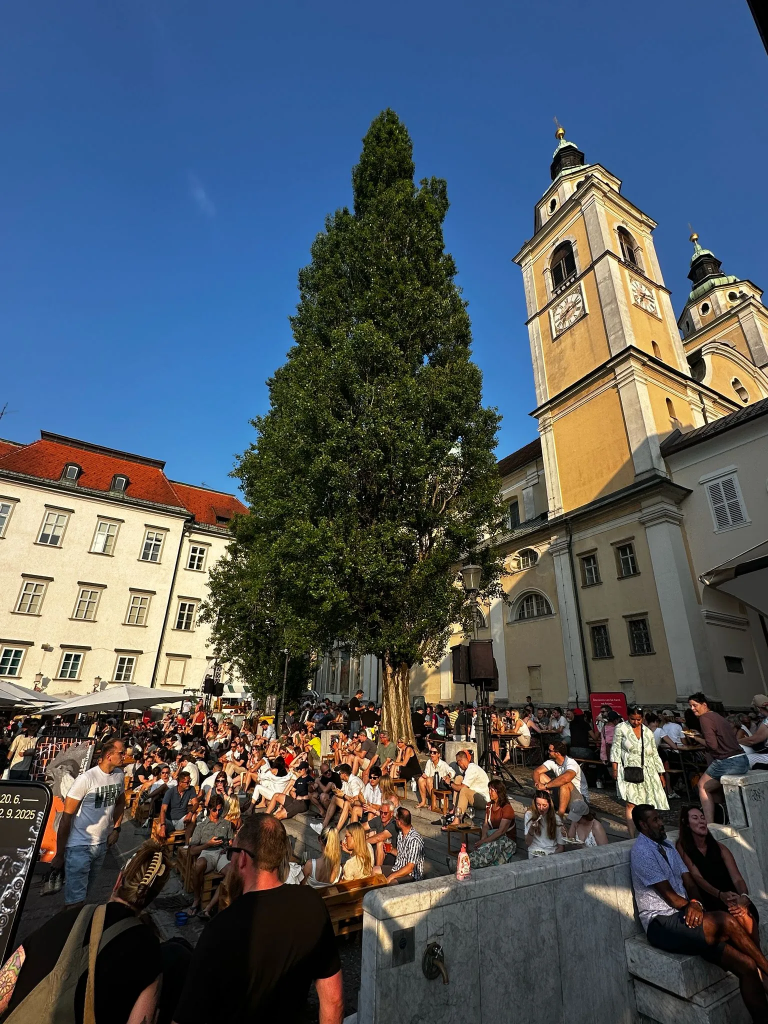 Menschen sitzen in der Abendsonne auf den Stufen vor der Kathedrale von Ljubljana