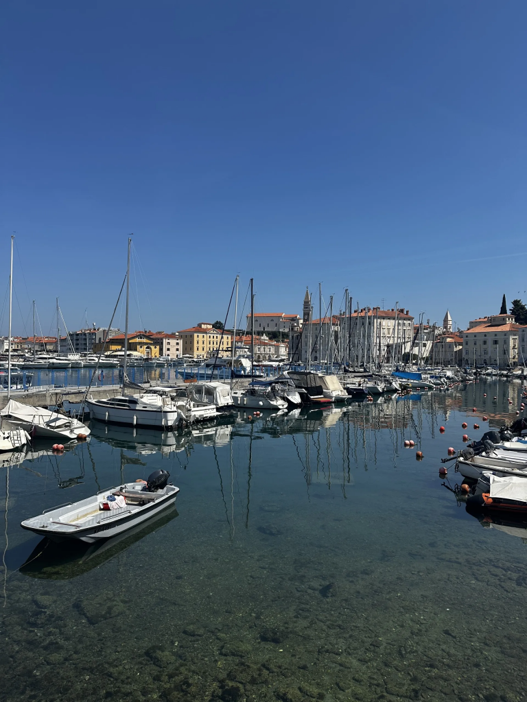 Segelboote spiegeln sich im ruhigen Hafenbecken von Piran