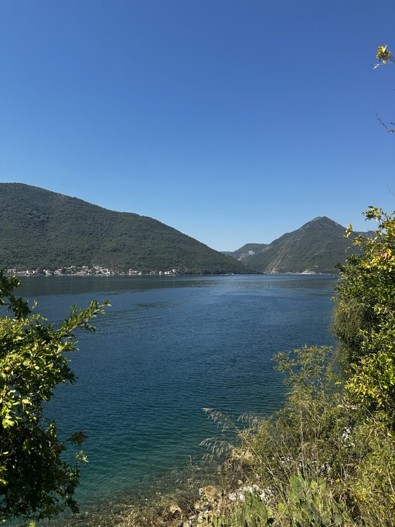 Die Bucht von Kotor mit dunkelblauem Wasser und steilen Bergen, von einem Aussichtspunkt.